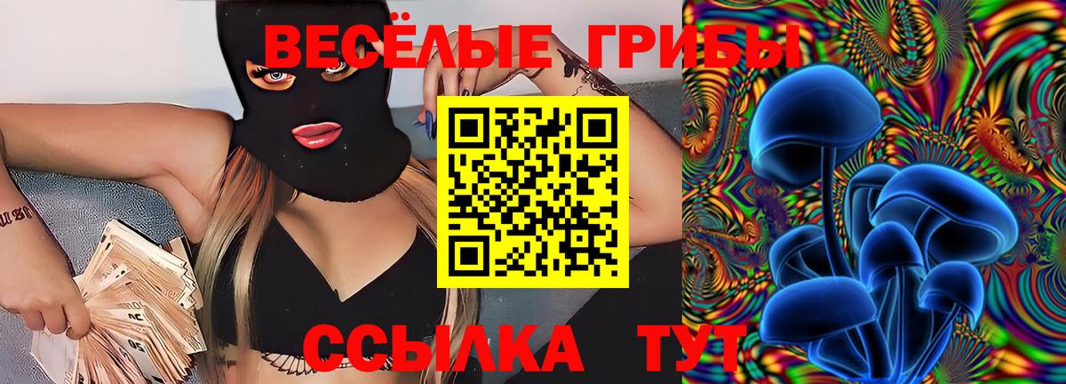 Галлюциногенные грибы Psilocybine cubensis Канск