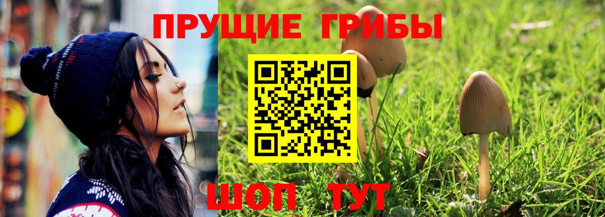 Канск  Галлюциногенные грибы Psilocybe  Вход с VPN 